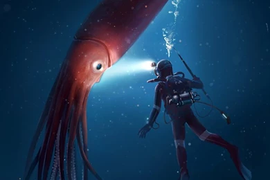 Giantsquid   DeviantArt