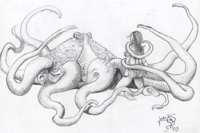 The Giant Squid And The Lady By BerenicePotter On DeviantArt