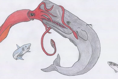 Sperm Whale V.s Giant Squid By Dark Hyena On DeviantArt