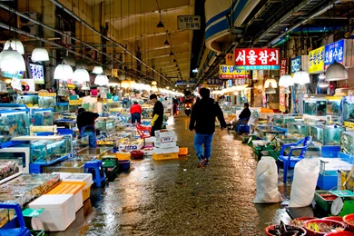 Noryangjin Fish Market, Seoul, South Korea   Delicious Techniques