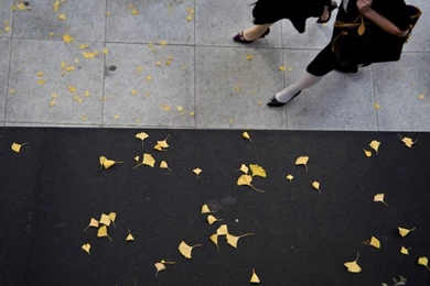 Seoul Picture    South Korea Wallpapers    National Geographic ...