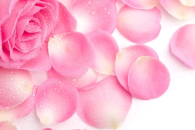 HD Android Wallpapers Img 19