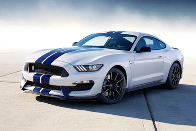 Ford Mustang GT500 2013   Image