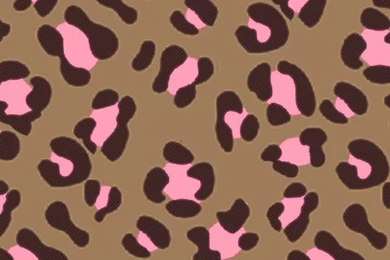 Wallpapers On Pinterest