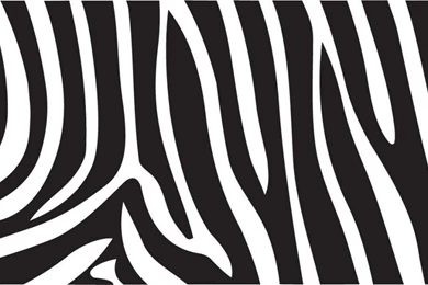 Zebra Wallpapers 5   HD Wallpaper Backgrounds