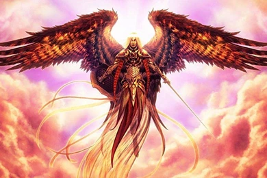 ANGELIC WARRIOR WALLPAPER   (