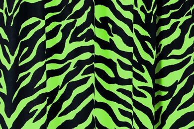 Green Zebra Backgrounds, Wallpaper, Green Zebra Backgrounds Hd ...