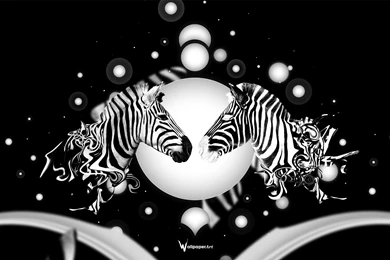 Backgrounds For Desktop Zebra, Wallpaper, Backgrounds For Desktop ...