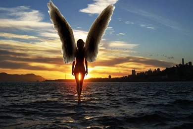 Angelic Wallpapers 1920x1200