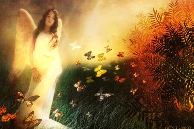 Integated Energy Therapy   Balance For Life