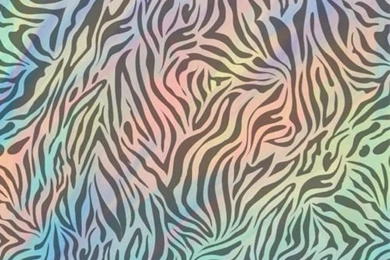 Zebra Backgrounds Wallpapers Iphone