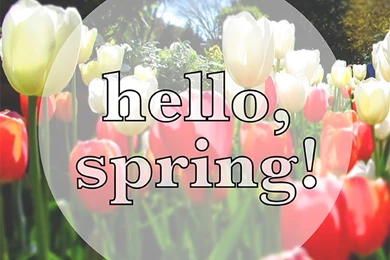 We Can Make Anything: Springtime Iphone Wallpapers