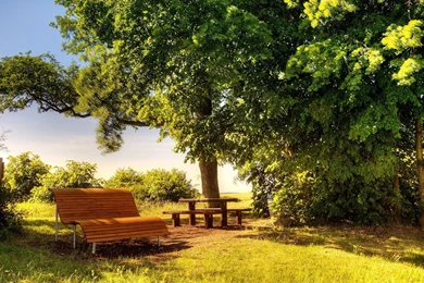 Sunny Bright Day Wallpapers