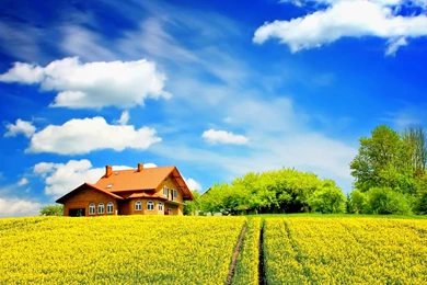 Sunny Bright Day Wallpaper 6.jpg