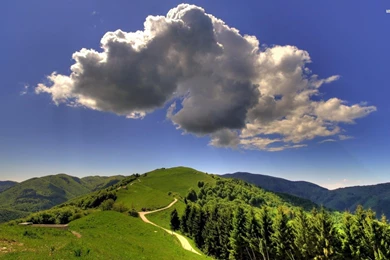 Sunny Day Wallpapers >> Backgrounds With Quality HD