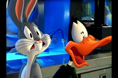 Bugs Bunny And Daffy Duck Gangster   Wallpaper.