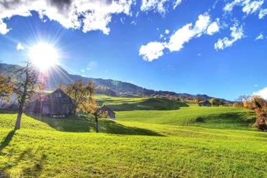 Justpict.com Bright Sunny Day Wallpapers