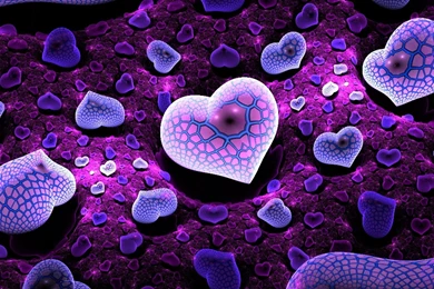 Red Rose Wallpapers For Love] Free Love Wallpapers