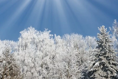 Sunny Winter Day HD Desktop Wallpapers : High Definition ...