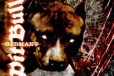 Wallpapers Pitbull Germany Puppy Dog 1024x768