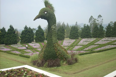 Beautiful HD 2560×1920 Wallpapers Free Download