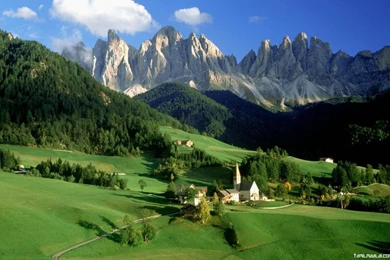 Free Online Desktop Wallpapers   Wallpapers Cave