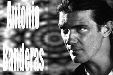 Antonio banderas Wallpapers : Antonio banderas 26.jpg