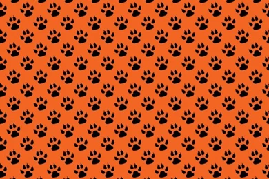 Paw Print : Cute Puppy Dog Paw Prints Hot Pink Black. Paw Prints ...