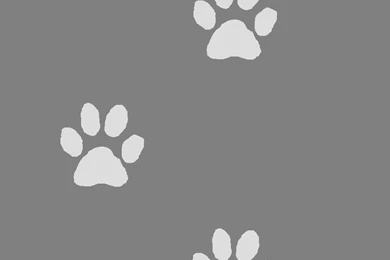 Grey Dog Paw Print Custom Box Backgrounds By Kawaii 0kami On DeviantArt