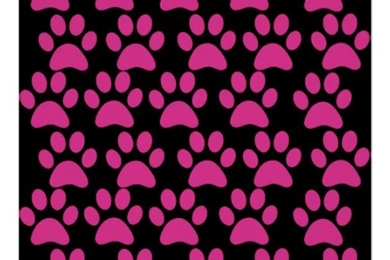 Cute Puppy Dog Paw Prints Hot Pink Black Art