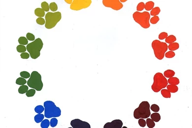 Wildcat Paw Print   Cliparts.co