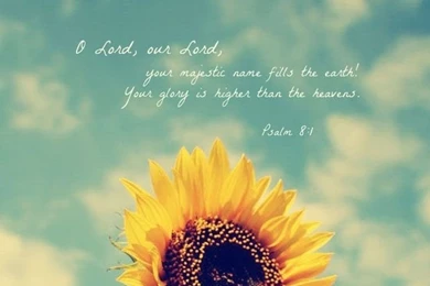 Christian Wallpapers For iPhone Or Android. Tags: Christ, Jesus ...