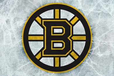 Boston Bruins iPad 3,4 & Air Wallpapers