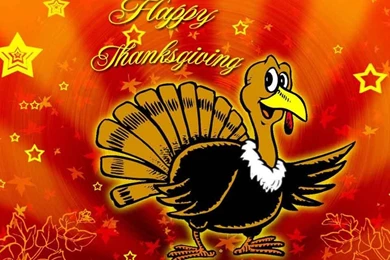 Thanksgiving Live Wallpapers   Android Apps And Tests   AndroidPIT