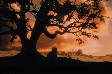 Gone With The Wind   Vivien Leigh Wallpapers (3784443)   Fanpop