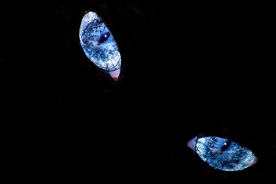 Eye Computer Wallpapers, Desktop Backgrounds