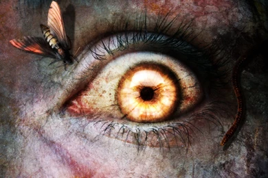 32 Eye HD Wallpapers