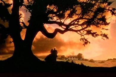 Gone With The Wind   Gone With The Wind Image (4368048)   Fanpop