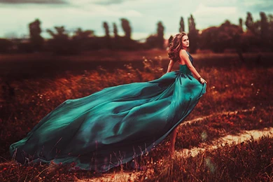 Gone With The Wind   (