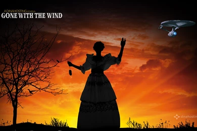 Download Dinahosting's Banners To Use As Wallpapers