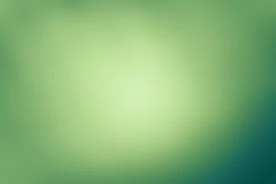 Smart in totally green color lightness website wallpapers ...