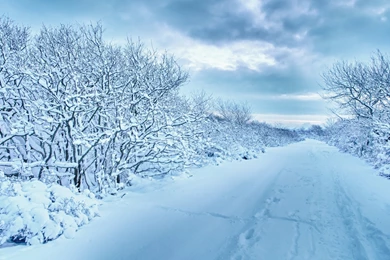 Download Wallpapers 3840x2400 Snow, Trees, Road, Traces, Winter ...