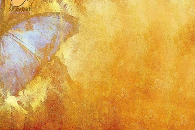 Free Hd Wallpaper Backgrounds