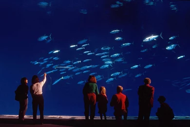 Monterey ★ Pacific Coast Highway Big Sur Road Trip Tourist Photo ...