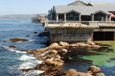 A Day At The Monterey Bay Aquarium