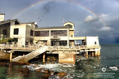 Monterey Bay Aquarium — Happy Friday! Hope You And Yours Are ...