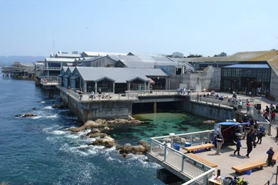 Monterey Bay Aquarium Carmel California HD Wallpapers   Gaees.com
