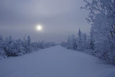 Landscapes Winter Snow Trees Night Roads Wallpapers