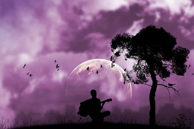 Beautiful Violet Color Wallpapers