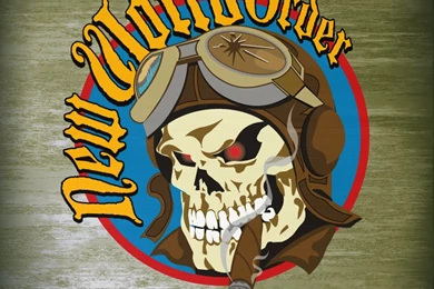 New World Order Nose Art By Swanee27 On DeviantArt